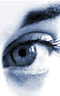 Our Vision